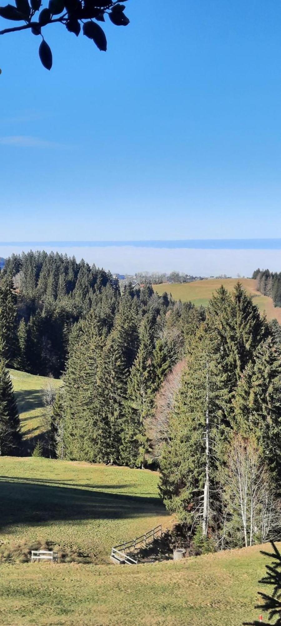 Vreni'S Ferienwohnung Gais Buitenkant foto
